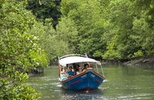 Combo - Cable Car & Sky Bridge And Tg. Rhu Mangrove Private Boat Tour With Lunch