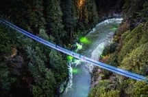 Full Day Private City Tour of Vancouver