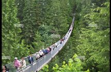 Full Day Private City Tour of Vancouver