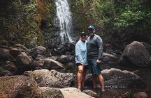 Waterfall Hike in Hawai'i Rainforest Trail
