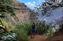 Waterfall Hike in Hawai'i Rainforest Trail