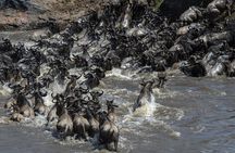 4 Days wildebeest lake nakuru masai mara safari