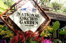 Half Day Sightseeing Guided Tour with National Orchid Garden 