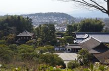 Visit beautiful Zen Gardens on a bike tour!