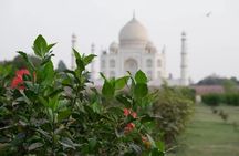 From Delhi : Luxury Taj Mahal Tour By Luxury Car- All Inclusive