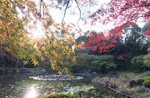 Visit beautiful Zen Gardens on a bike tour!