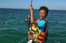 Half Day Private Fishing Trip with Site Seeing Around Anna Maria Island