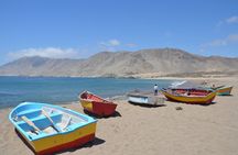 Costa DE Desierto Atacama : La Serena-Llanos del Challe-Pan de Azucar