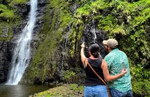 Private TAHITI Half Day Circle Island Tour (Departs 8am or 1pm)