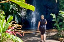 Private TAHITI Half Day Circle Island Tour (Departs 8am or 1pm)