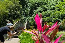 Private TAHITI Half Day Circle Island Tour (Departs 8am or 1pm)