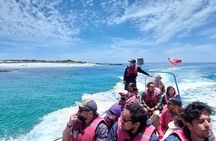Dama Island or Chañaral Navigation Tour Humboldt Penguin Reserve