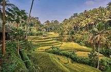 Full Day Private Guided Tour to Bali