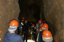 Half Day Cradle of Humankind Tour 