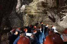 Half Day Cradle of Humankind Tour 