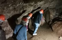 Half Day Cradle of Humankind Tour 