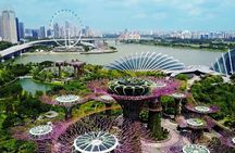 Half Day City Sightseeing Guided Tour with Gardens by the Bay