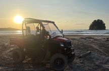  Buggy - Side by Side Family Tour 