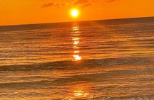 Half Day Private Fishing Trip with Site Seeing Around Anna Maria Island