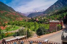 Cooking class with Berber Family and camel rides 
