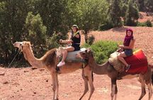 Cooking class with Berber Family and camel rides 