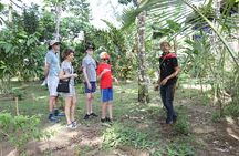 Costa Rica Descents Organic Farm
