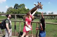 Half-Day Lion and Safari Park Tour