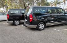 Half-Day Lion and Safari Park Tour