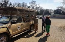 Half-Day Lion and Safari Park Tour
