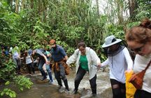 7 days and 6 nights Private Tour Manu National Park in Cusco