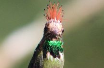 7 days and 6 nights Private Tour Manu National Park in Cusco