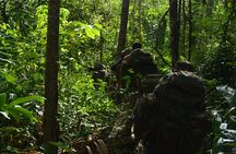 Kanuku Mountain Trekking Activity
