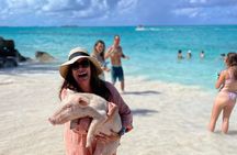 ATV Tour+Swimming Pigs bundle (Beach Break+lunch) Truly Amazing 