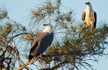 Sunset River Cruise in Kalbarri