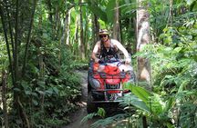 Bali ATV Quad Bike and Heaven Swing - All Inclusive Adventure