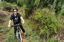  Cycling in a Forest close to Johannesburg and Pretoria 