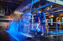 Go City: Dublin Explorer Pass