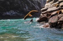  Ballestas Islands, Ica Vineyard & Huacachina