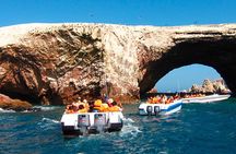  Ballestas Islands, Ica Vineyard & Huacachina