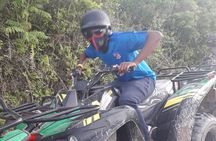 Full Day ATV, Ricks Café, Beach and Shopping Tour from Montego Bay