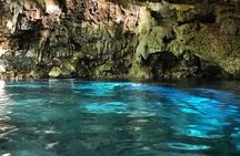 Exploring Hidden Cenotes at Playa del Carmen