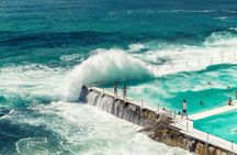 Private Luxury Sydney City Tour - up to 7 guests