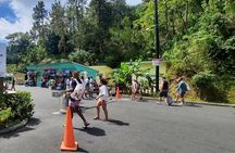 Mud bath and Waterfall with Snorkeling at Sugar beach