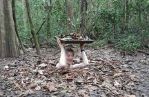 Crawl and Paddle Full day Cu Chi Tunnels and MeKong Delta 