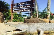 Private Puerto Princesa City Tour