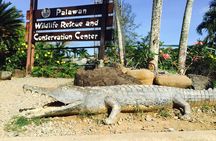 Private Puerto Princesa City Tour