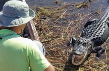 10,000 Islands Boat Tour + Naturalist Led Walk in the Everglades!