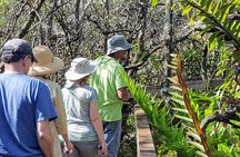 10,000 Islands Boat Tour + Naturalist Led Walk in the Everglades!