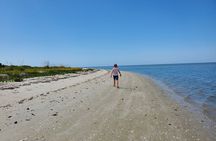 10,000 Islands Boat Tour + Naturalist Led Walk in the Everglades!