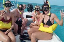 Swim & Fly Day Trip in Cancun with Transportation 